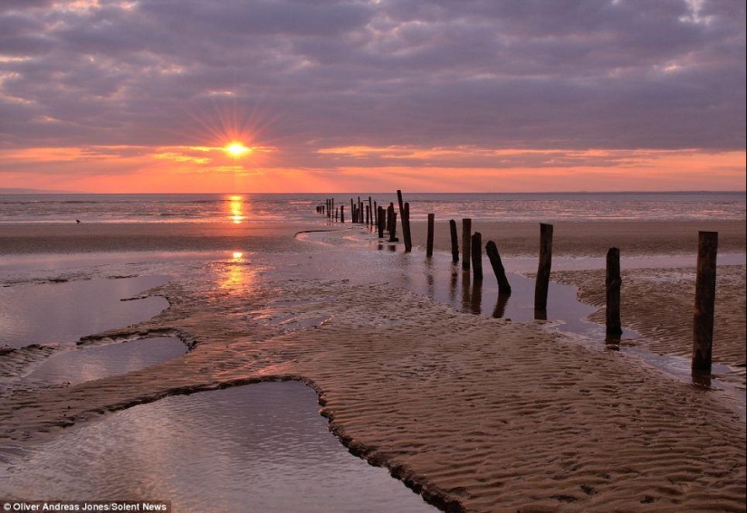 Manzana del manzano: el hijo del fotógrafo toma fotos increíbles Manzana del manzano: el hijo del fotógrafo toma fotos increíbles