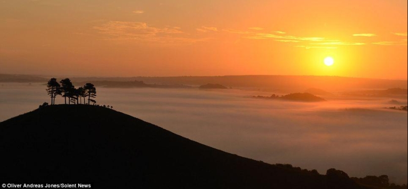 Manzana del manzano: el hijo del fotógrafo toma fotos increíbles Manzana del manzano: el hijo del fotógrafo toma fotos increíbles