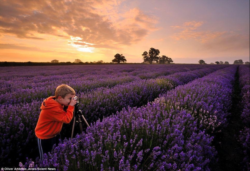 Manzana del manzano: el hijo del fotógrafo toma fotos increíbles Manzana del manzano: el hijo del fotógrafo toma fotos increíbles
