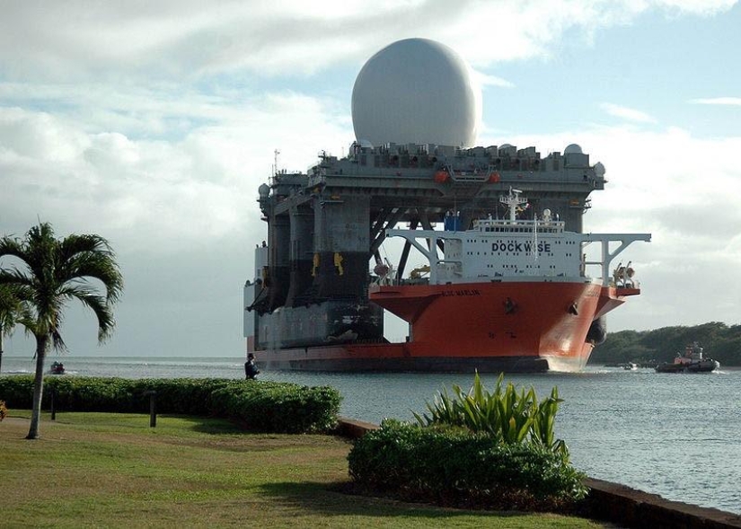 Marlín Azul Gigante Marino