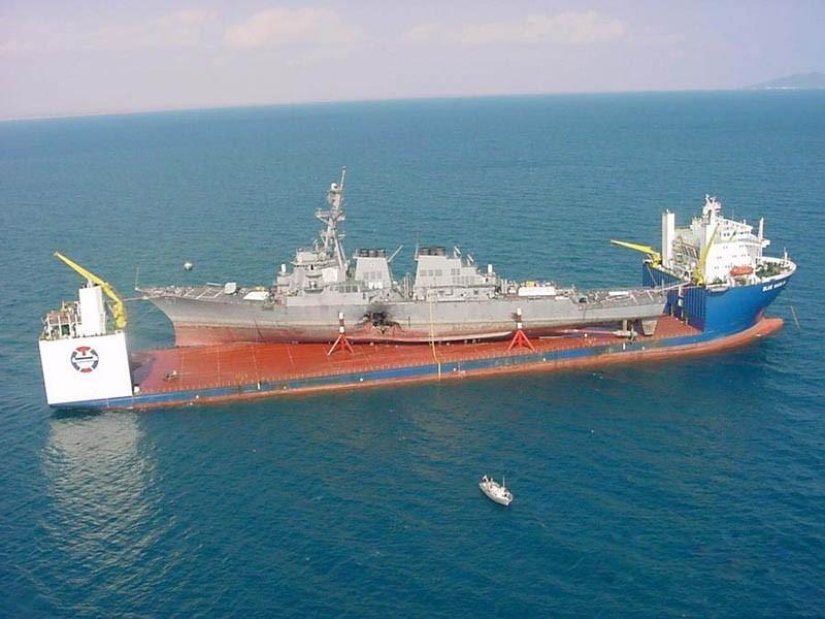 Marlín Azul Gigante Marino