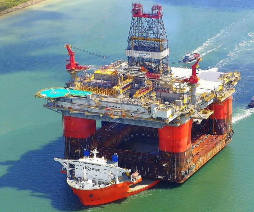 Marlín Azul Gigante Marino