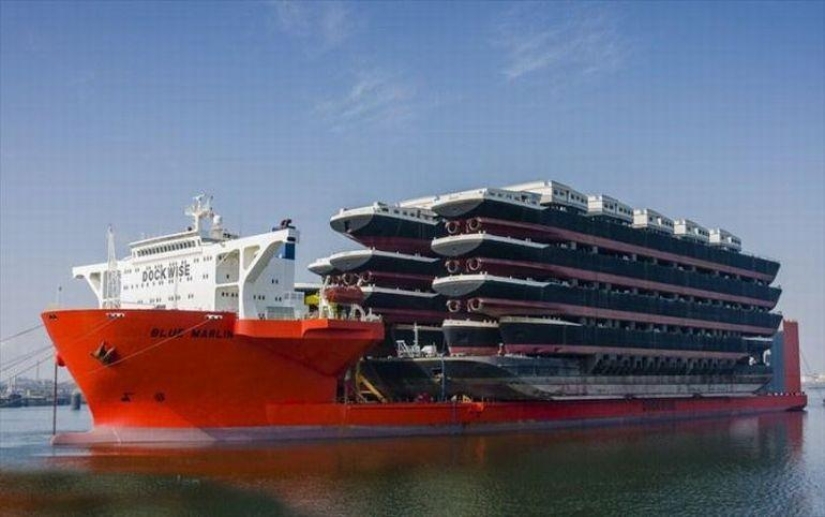 Marlín Azul Gigante Marino