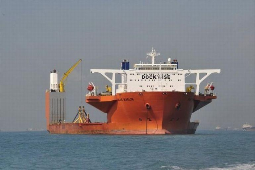 Marlín Azul Gigante Marino