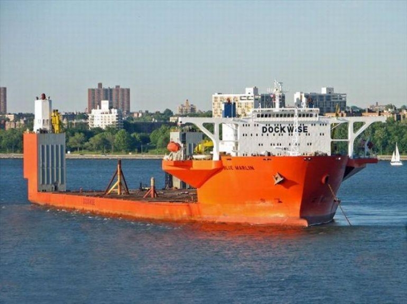 Marlín Azul Gigante Marino
