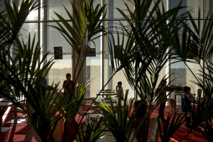 Matches for the title of world chess champion take place in Sochi