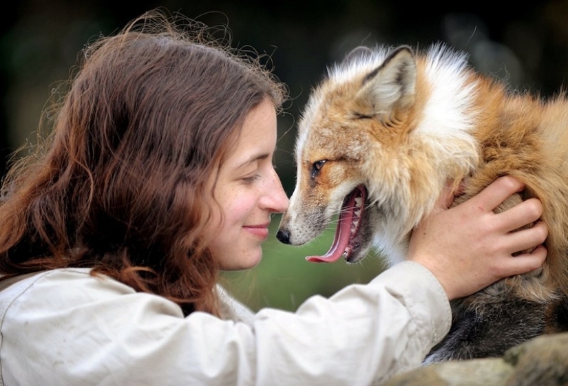 Meet the fox who thinks she&#39;s a dog