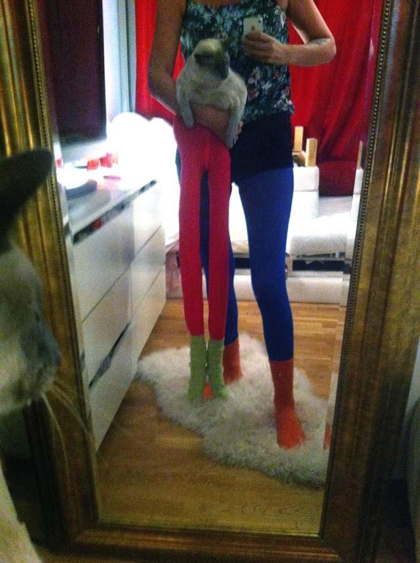 Meme: gato en pantimedias