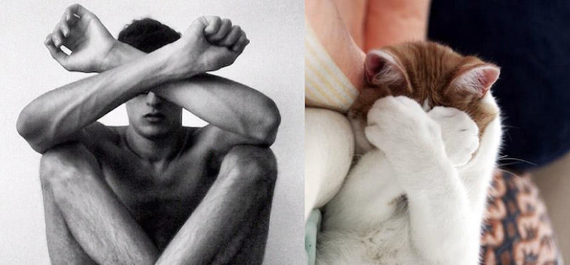 men and cats