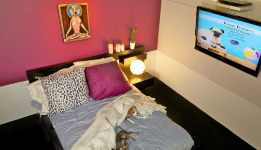 Menos de $ 200 por noche: New York Dog Hotel