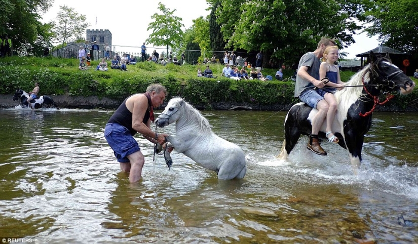 Mezclados en un grupo de caballos, personas: lo que miles de gitanos están haciendo en la Feria del Caballo de Appleby