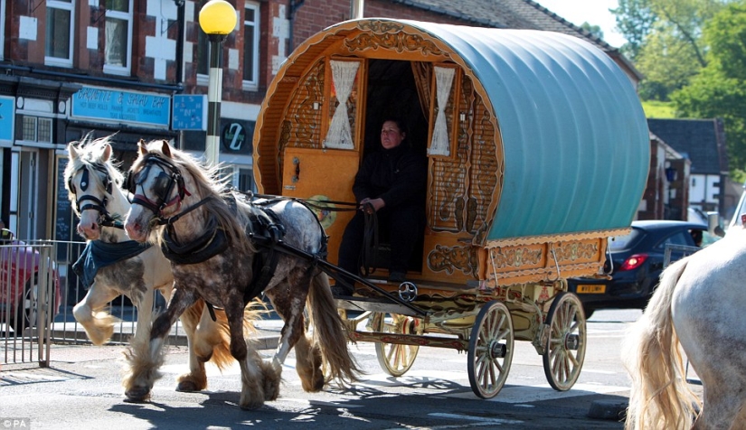 Mezclados en un grupo de caballos, personas: lo que miles de gitanos están haciendo en la Feria del Caballo de Appleby