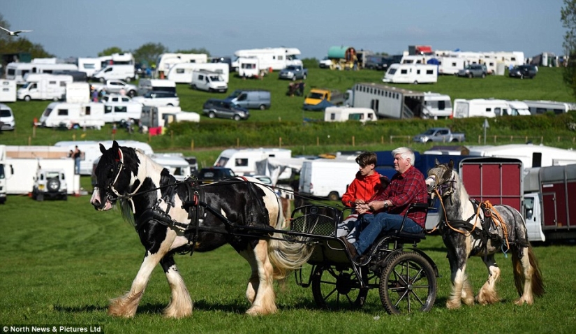 Mezclados en un grupo de caballos, personas: lo que miles de gitanos están haciendo en la Feria del Caballo de Appleby