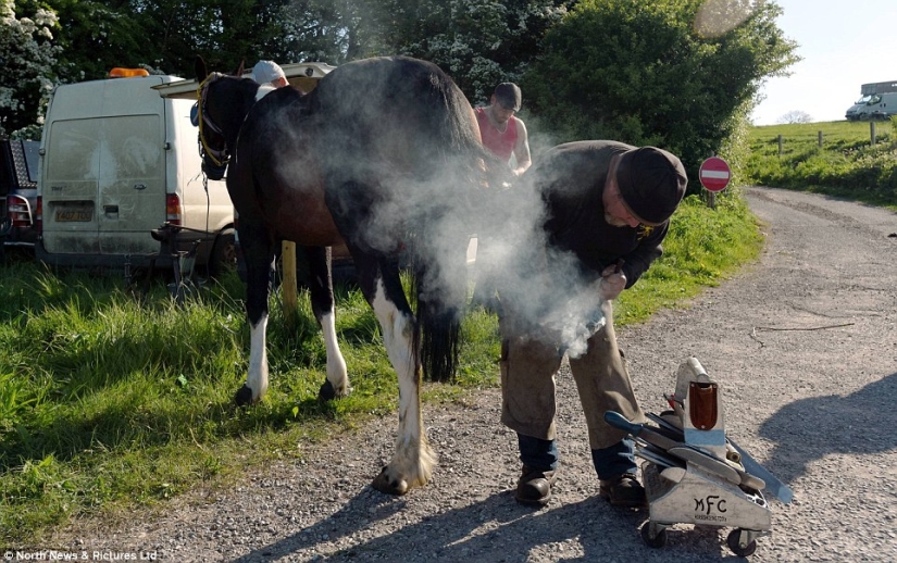 Mezclados en un grupo de caballos, personas: lo que miles de gitanos están haciendo en la Feria del Caballo de Appleby