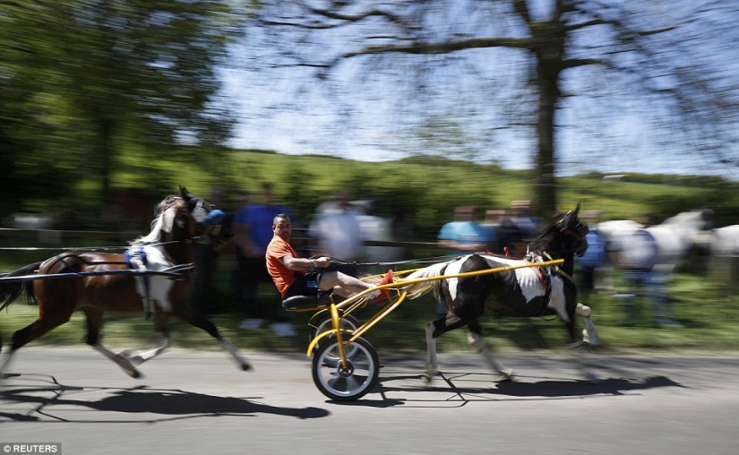 Mezclados en un grupo de caballos, personas: lo que miles de gitanos están haciendo en la Feria del Caballo de Appleby