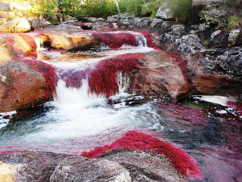 Miracle of nature - Geysernaya river