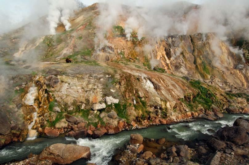 Miracle of nature - Geysernaya river