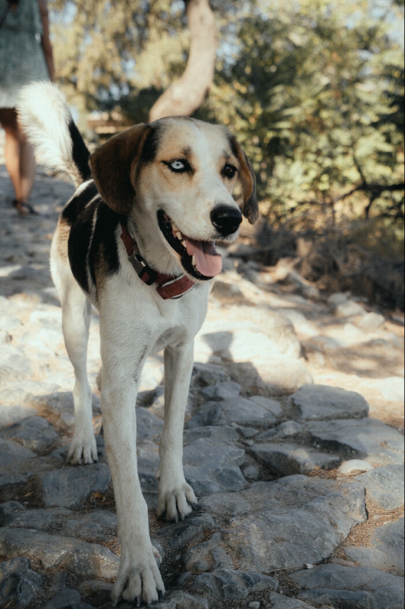 Mis 17 fotografías de la hermosa isla griega de Rodas