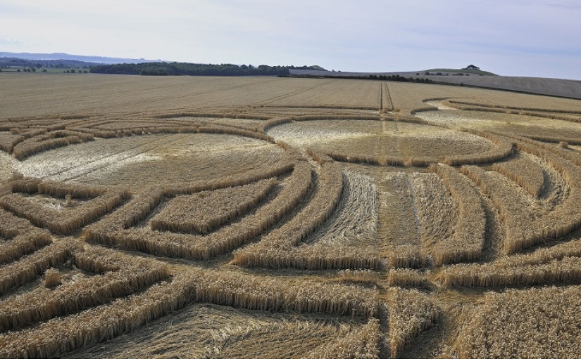 Misteriosos círculos de las cosechas en Wiltshire Misteriosos círculos de las cosechas en Wiltshire