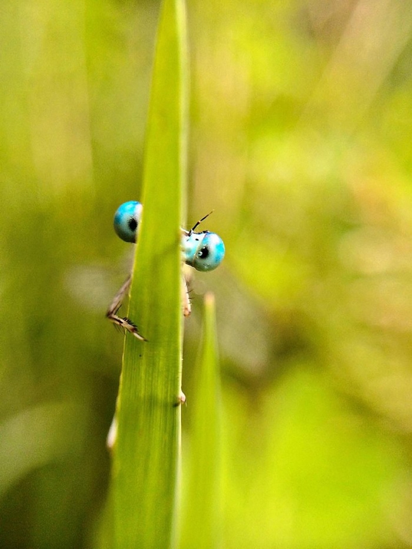 Mobile Photography Awards 2014 Winners