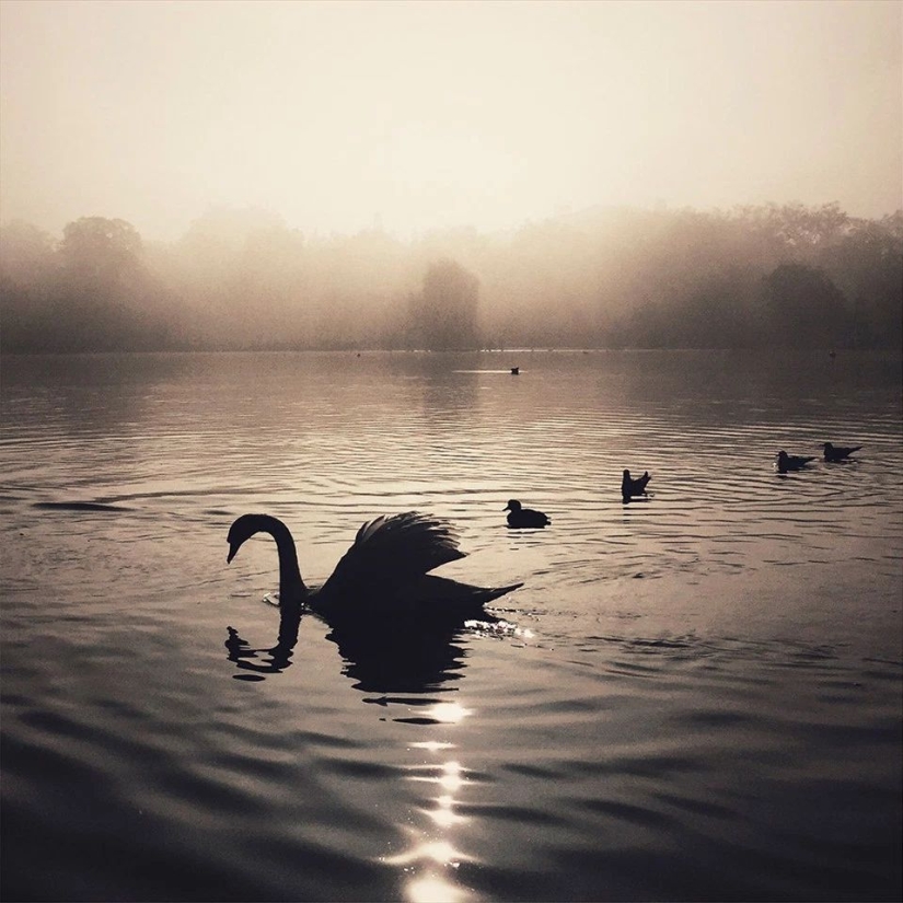 Mobile Photography Awards Have Announced Their Best Photos Of All Time, And Here’s All 14