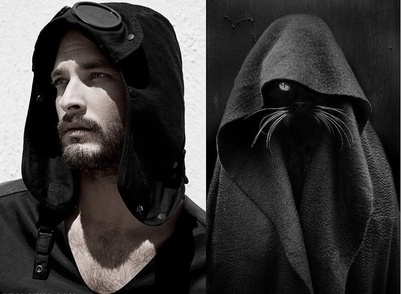 modelos vs gatos modelos vs gatos