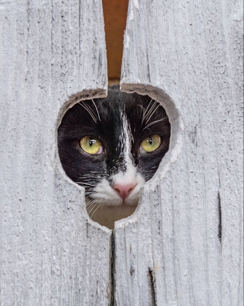 “Momentos enmarcados”: 14 fotos que tomé “Momentos enmarcados”: 14 fotos que tomé