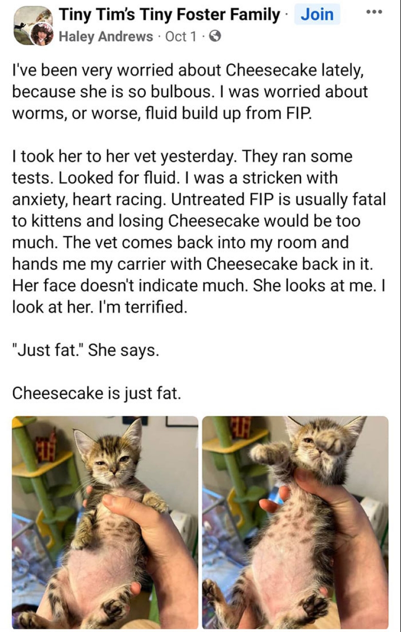 Momentos hilarantes y saludables que los veterinarios han experimentado en el trabajo
