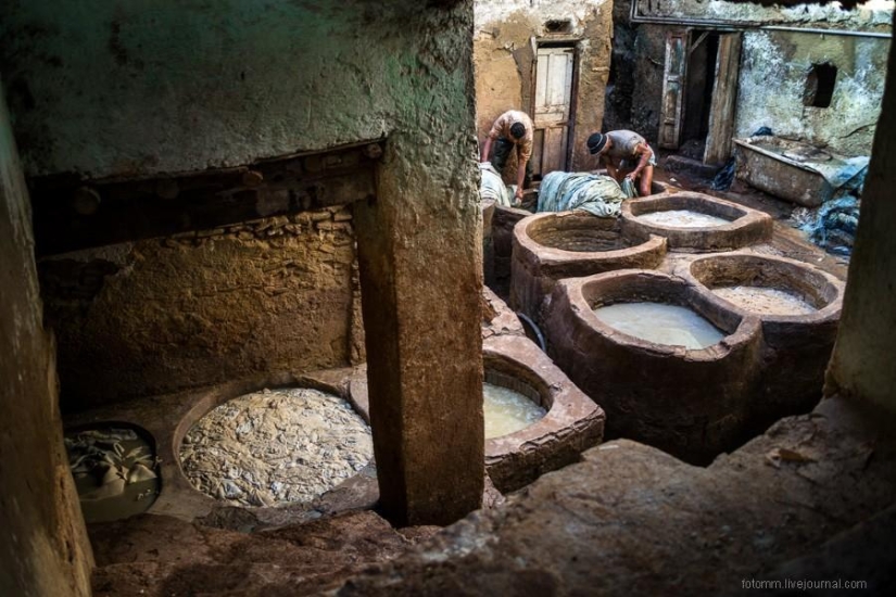Morocco: Fes Leather Workshops