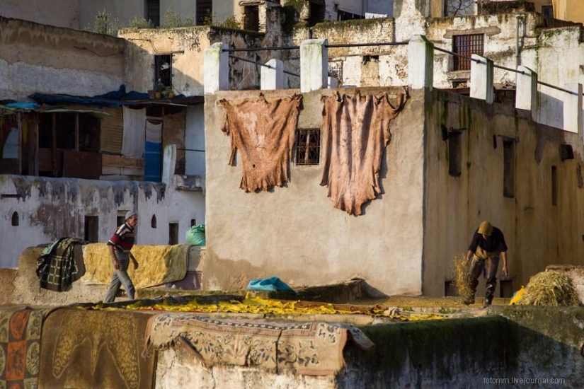 Morocco: Fes Leather Workshops