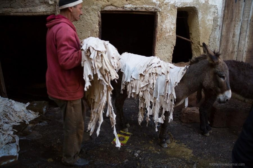Morocco: Fes Leather Workshops
