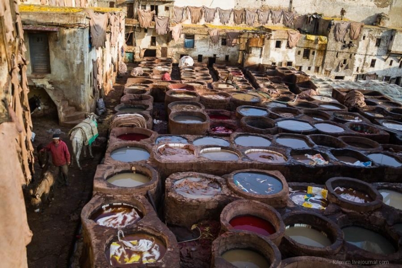Morocco: Fes Leather Workshops