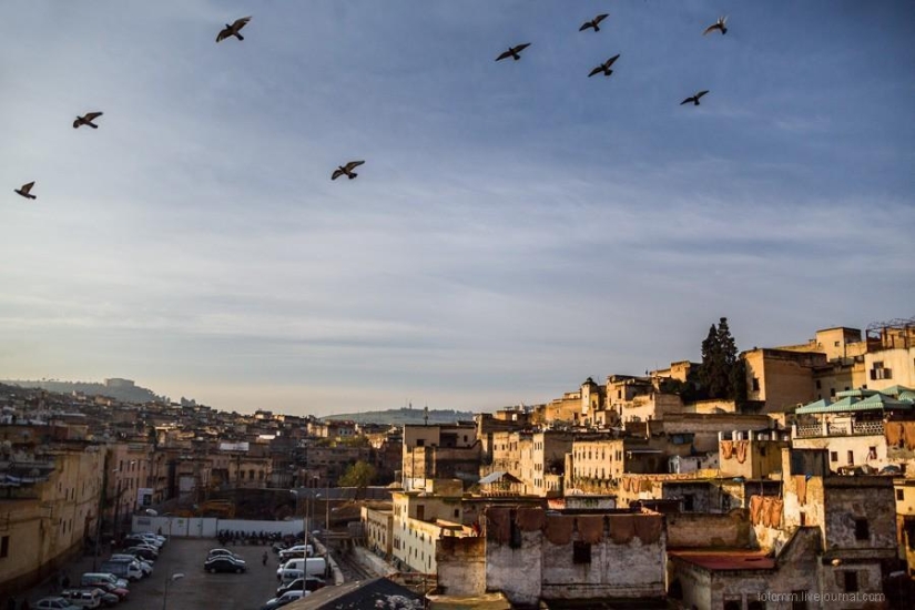 Morocco: Fes Leather Workshops