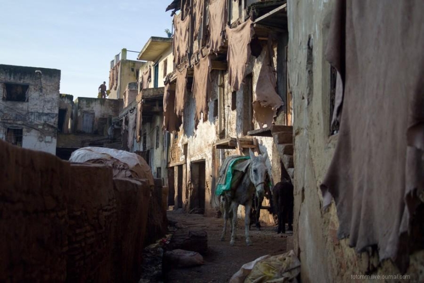 Morocco: Fes Leather Workshops