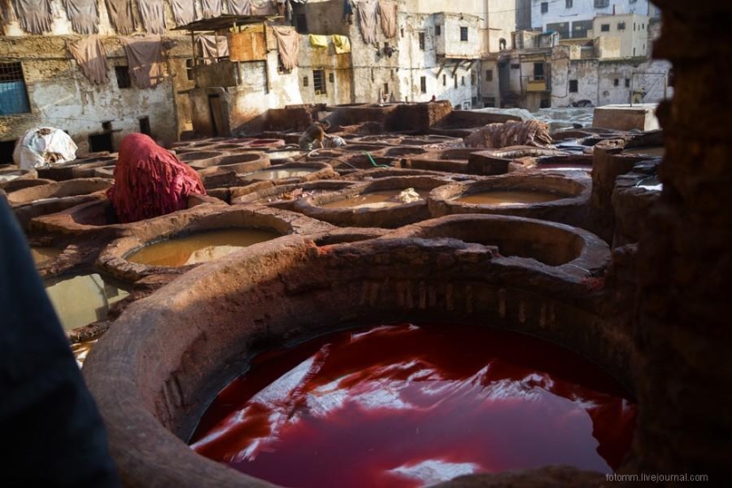 Morocco: Fes Leather Workshops
