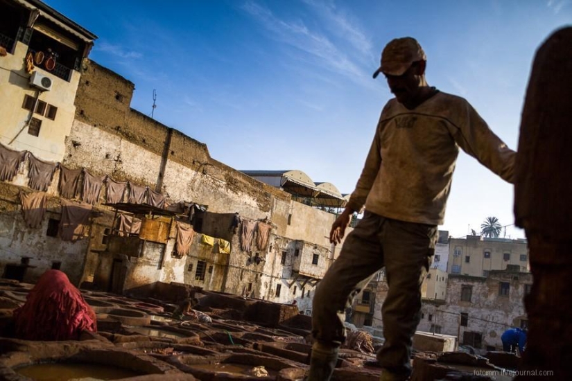 Morocco: Fes Leather Workshops