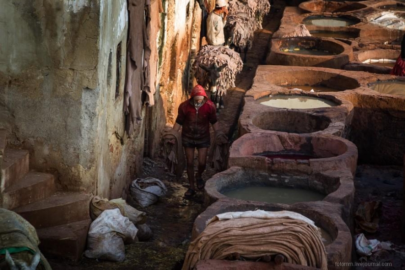 Morocco: Fes Leather Workshops