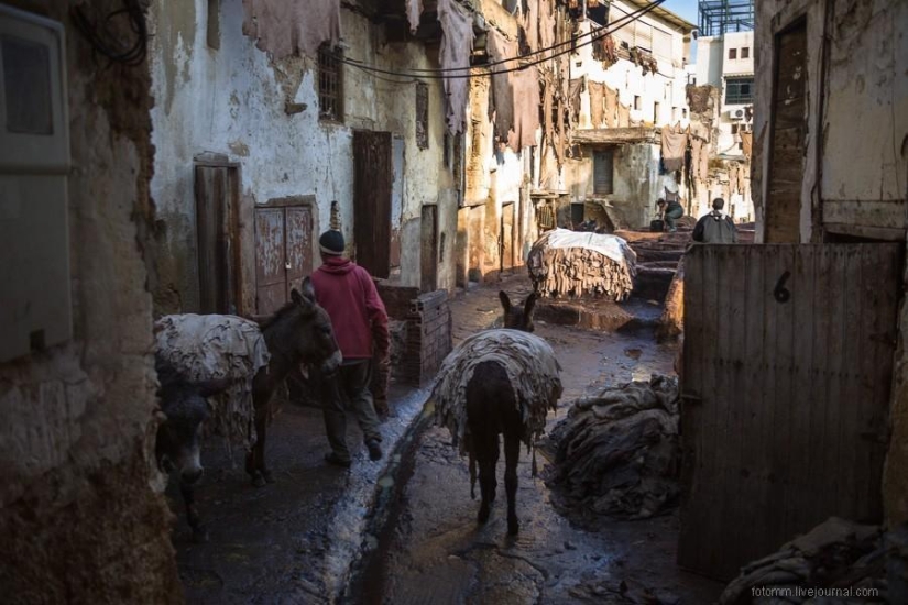 Morocco: Fes Leather Workshops