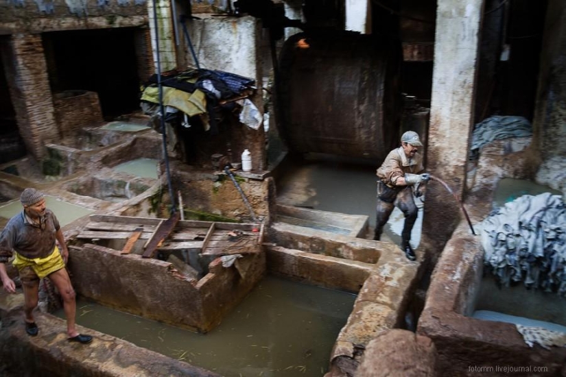 Morocco: Fes Leather Workshops