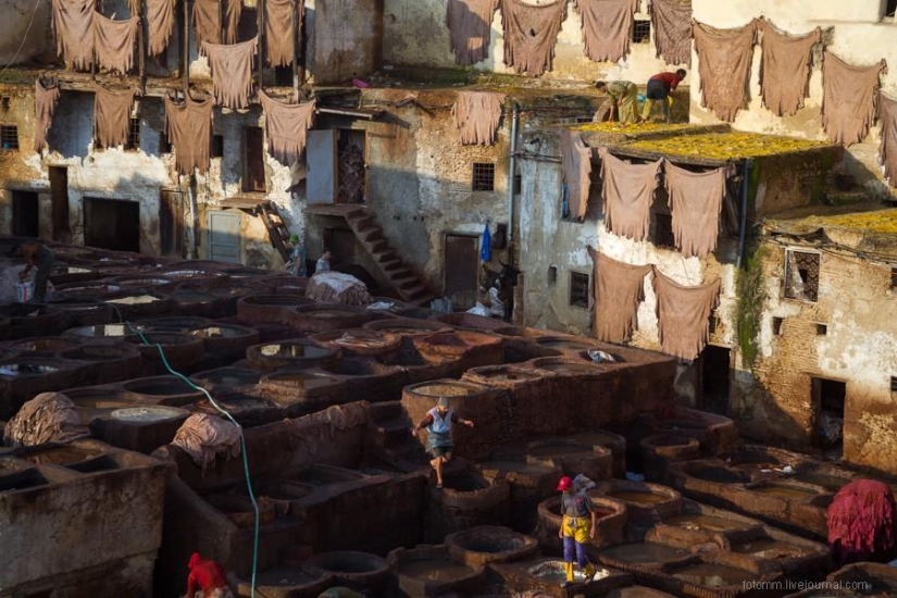 Morocco: Fes Leather Workshops