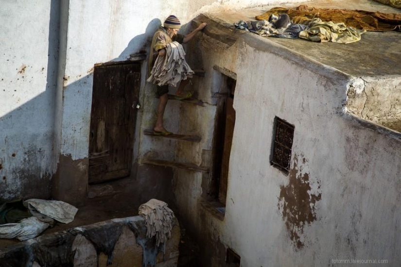 Morocco: Fes Leather Workshops