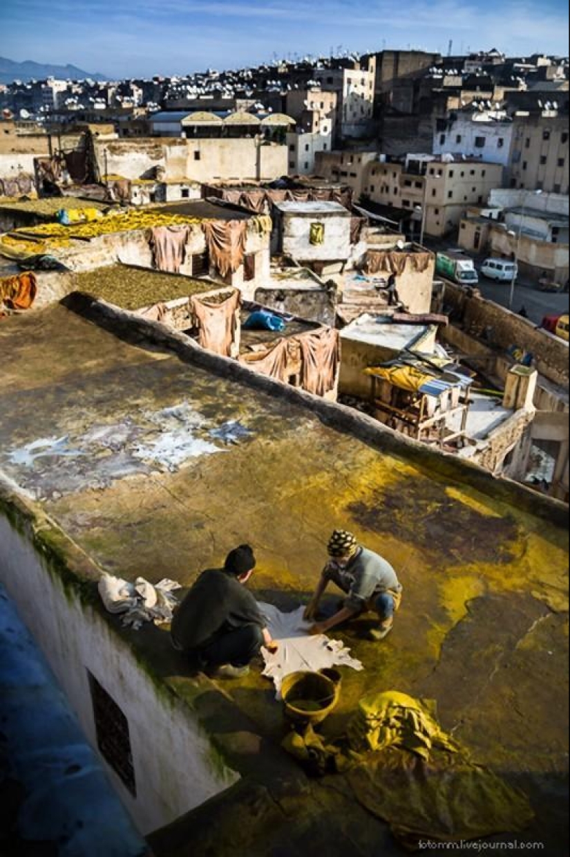 Morocco: Fes Leather Workshops