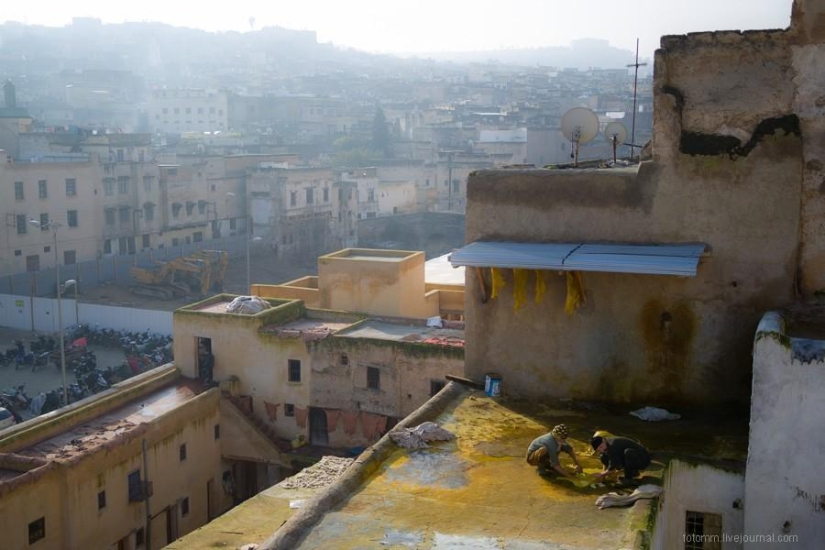 Morocco: Fes Leather Workshops