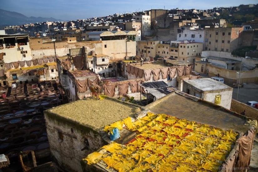Morocco: Fes Leather Workshops