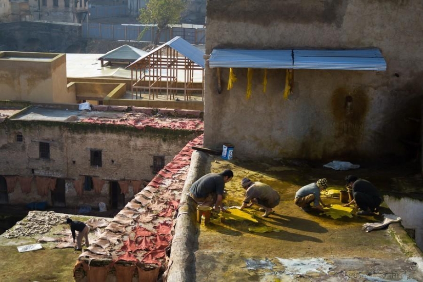 Morocco: Fes Leather Workshops