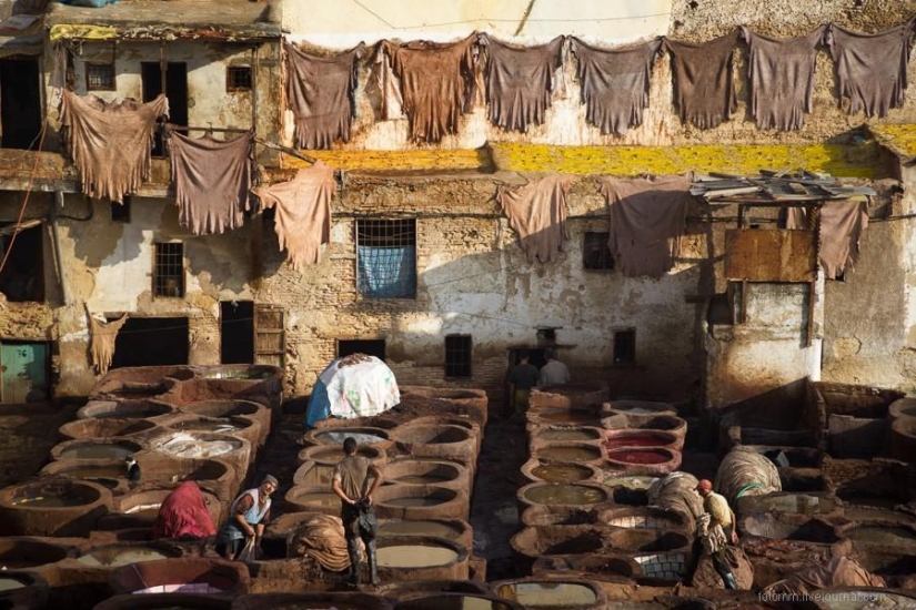 Morocco: Fes Leather Workshops