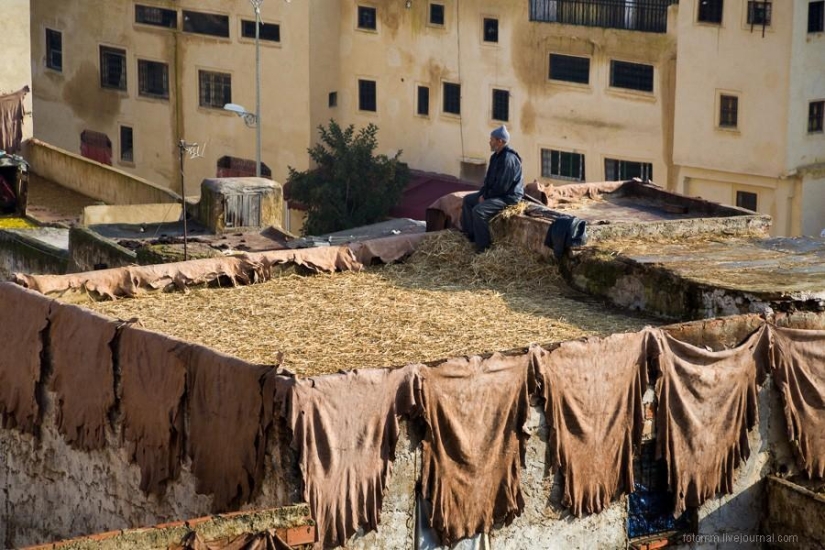 Morocco: Fes Leather Workshops
