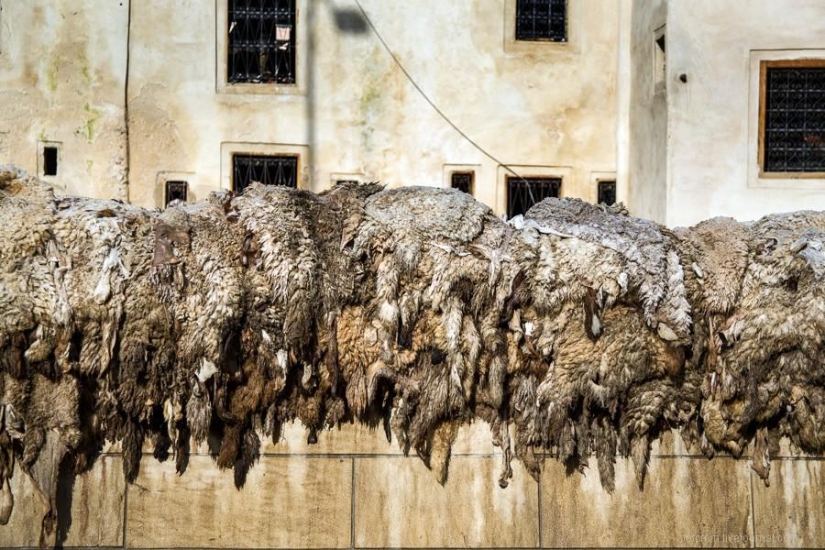 Morocco: Fes Leather Workshops
