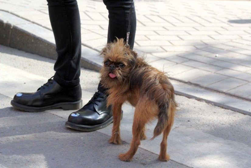 Moscow street style
