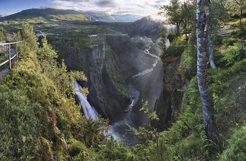 Most Viewed Wikipedia Images of 2012